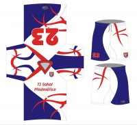 /album/dresy-fbc-sokol-predmerice1/sokol-dres-modro-bily-jpg/